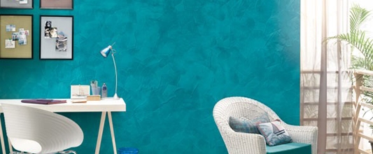 Bharat Paint_Services5