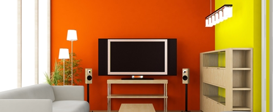 Bharat Paint_Services4