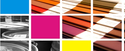 Bharat Paint_Services6